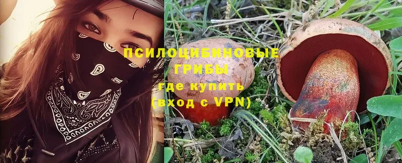 где купить наркоту  Новосибирск  Псилоцибиновые грибы Magic Shrooms 